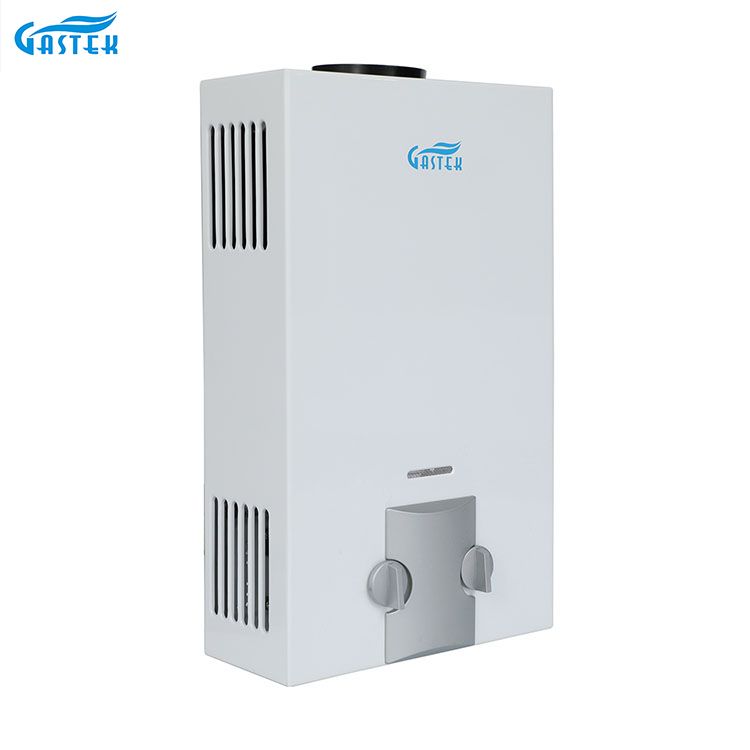 home-appliance-factory-oem-odm-flue-type-wall-mounted-6l-10l-12l-16l-20l-lpg-tankless-instant-gas-geyser-for-shower_968424.jpg