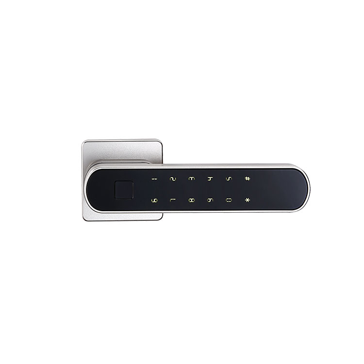 Considerations for Choosing a Smart Handle Lock
