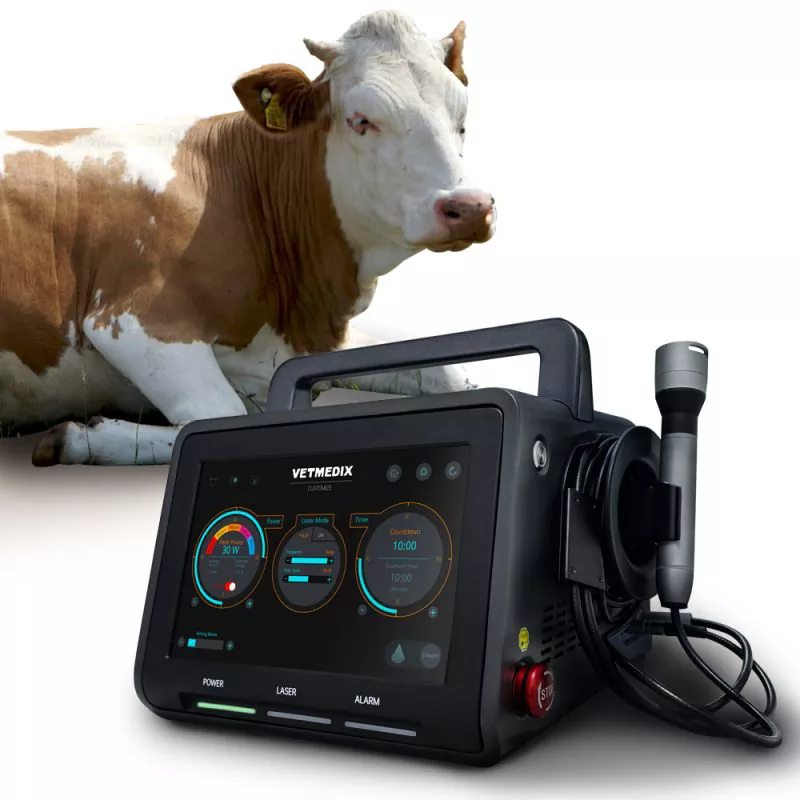 What Is a Veterinary Laser and How Is It Transforming Animal Care?