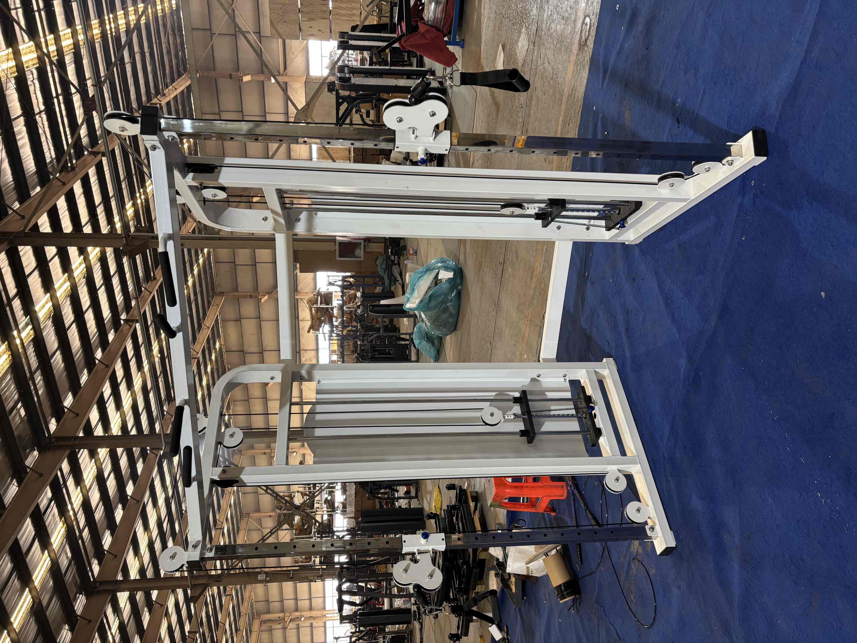 OEM Garage Gym Machine: Build Your Perfect Home Gym Setup