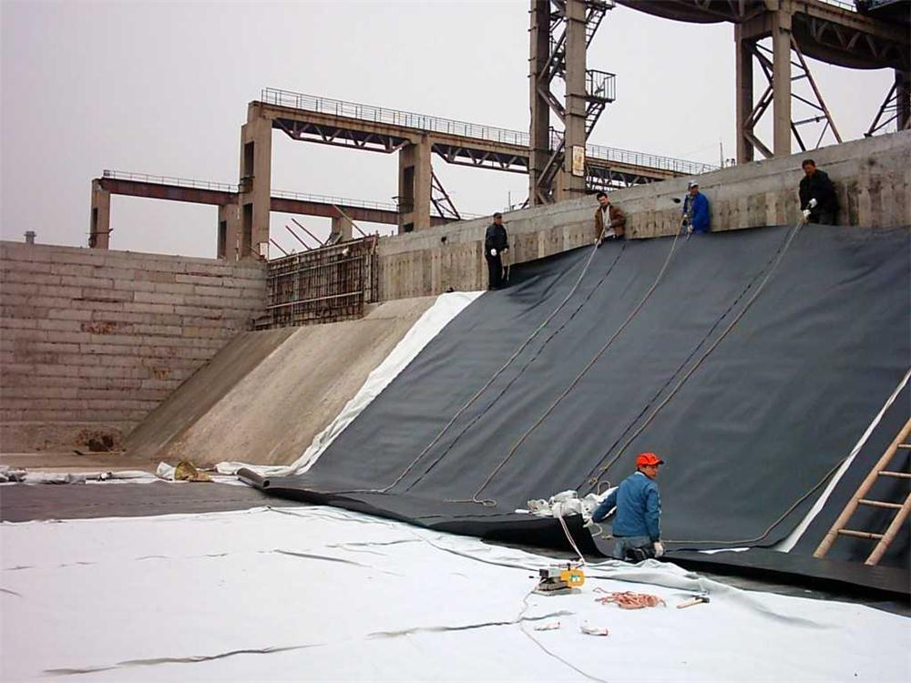 Export Uniaxial Geogrid: Smart Strategies for Global Infrastructure Development